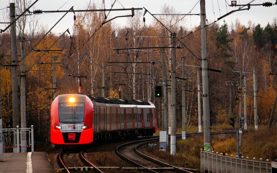 Поезда “Ласточка” с 2023 года станут практически полностью российского производства